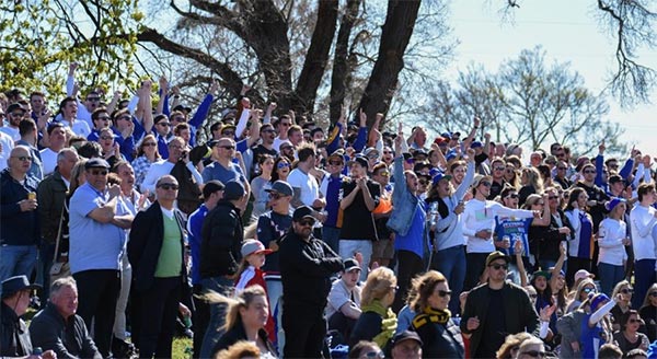 crowd